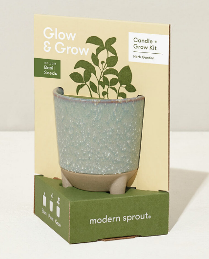 A candle pot that turn into a garden that grows basil