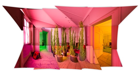 Pink, yellow, and green walls and plants - Design at the intersection of the digital and physical