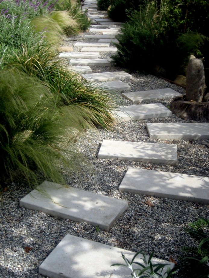 Walking concrete path surrounded by lots of greenery