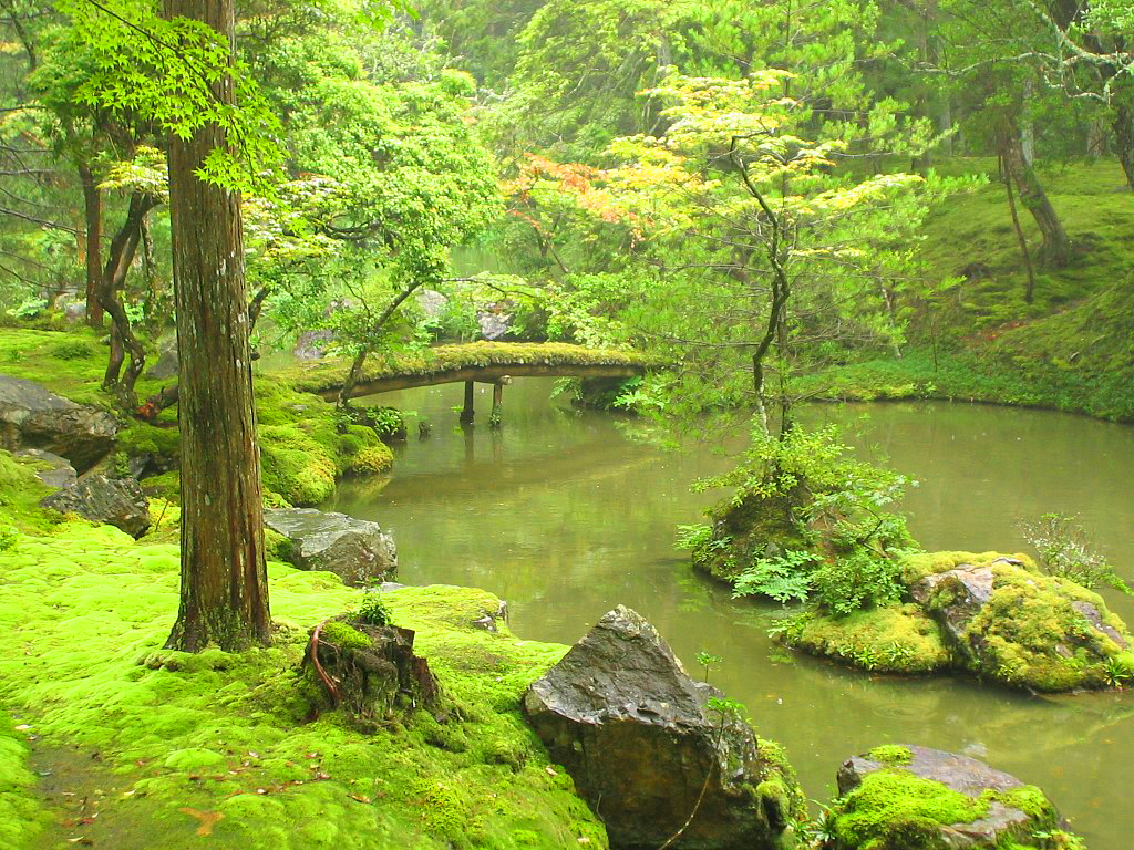 The Garden of Saiho Ji In, Japan