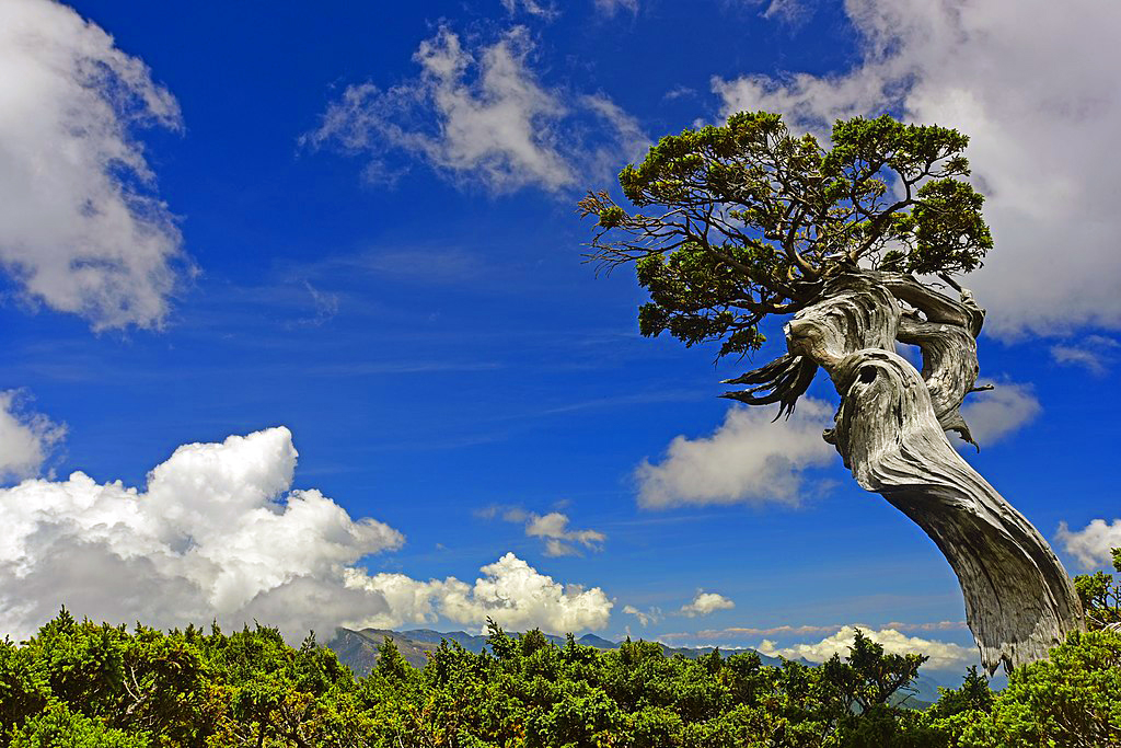 Yushan National Park, Taiwan