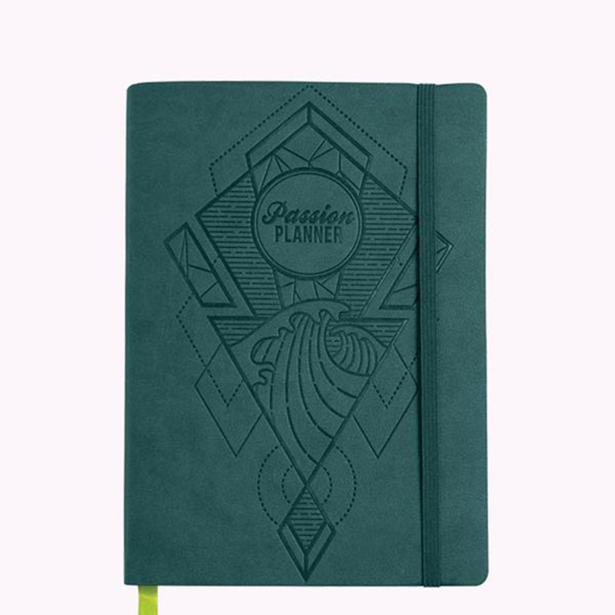 2019 Ocean Blue Passion Planner Pro