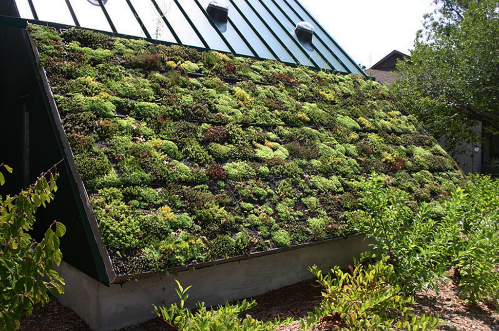 Green Roof at the Virginia Living Museum, Newport News, Virginia